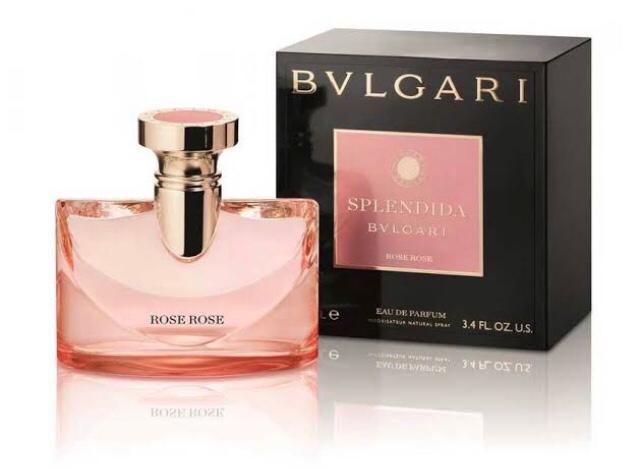 bvlg-splendida-rose-rose